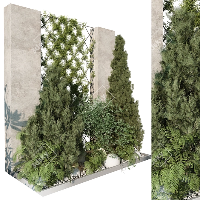 Large Outdoor Plant 3D Model 3D model image 5