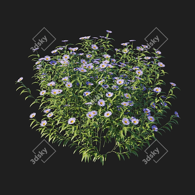 Aster Bush 3D Model Kit 3D model image 3