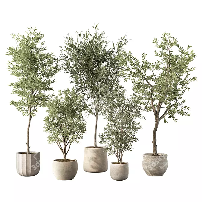 Modern Indoor Plant Set Trio 3D model image 1