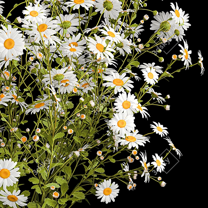 Summer Wildflower Bouquet Set 3D model image 4