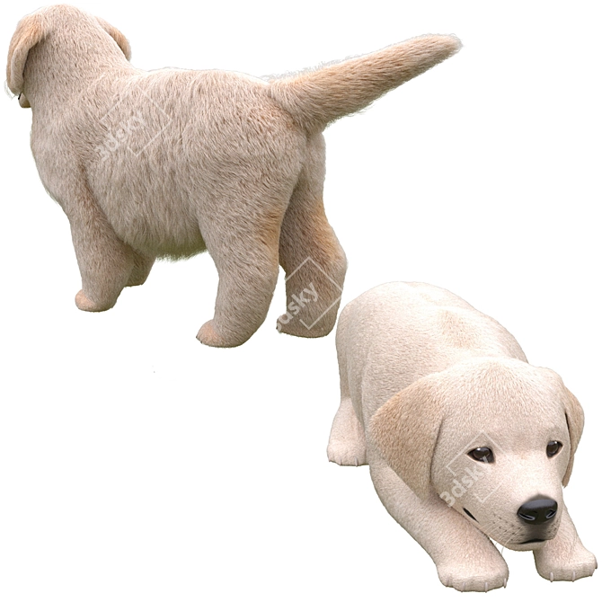 Golden Retriever Puppies Miniatures 3D model image 13