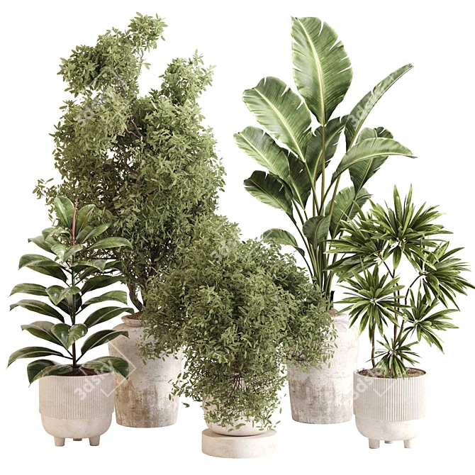 Stylish Indoor Plant Set 099 3D model image 1