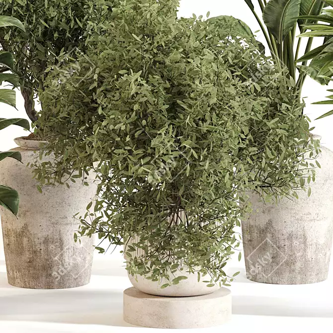 Stylish Indoor Plant Set 099 3D model image 2