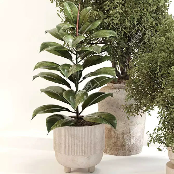 Stylish Indoor Plant Set 099 3D model image 4