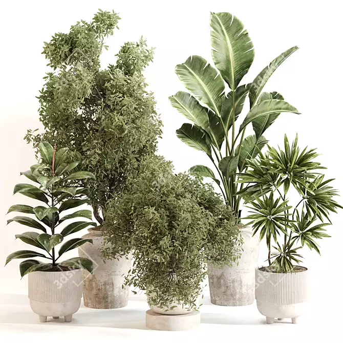 Stylish Indoor Plant Set 099 3D model image 6