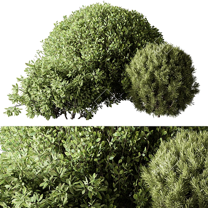 Assorted Shrub Set 137 3D model image 1