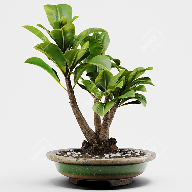 PBR Indoor Plant Decoration Item 3D model image 1