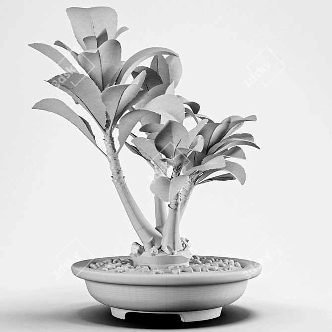 PBR Indoor Plant Decoration Item 3D model image 6