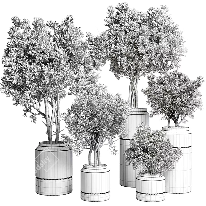 Concrete Vase Plant Set 491 3D model image 7