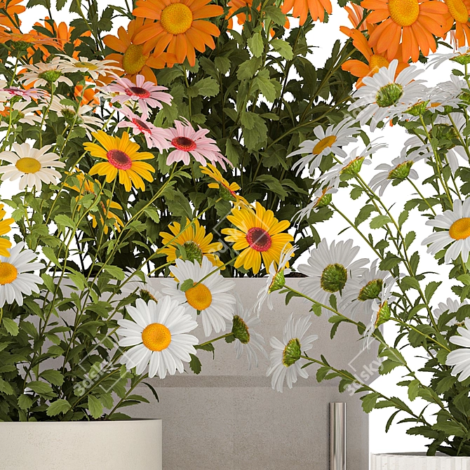 Title: Field Flowers Collection in Planters 3D model image 2