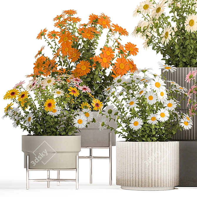 Title: Field Flowers Collection in Planters 3D model image 4