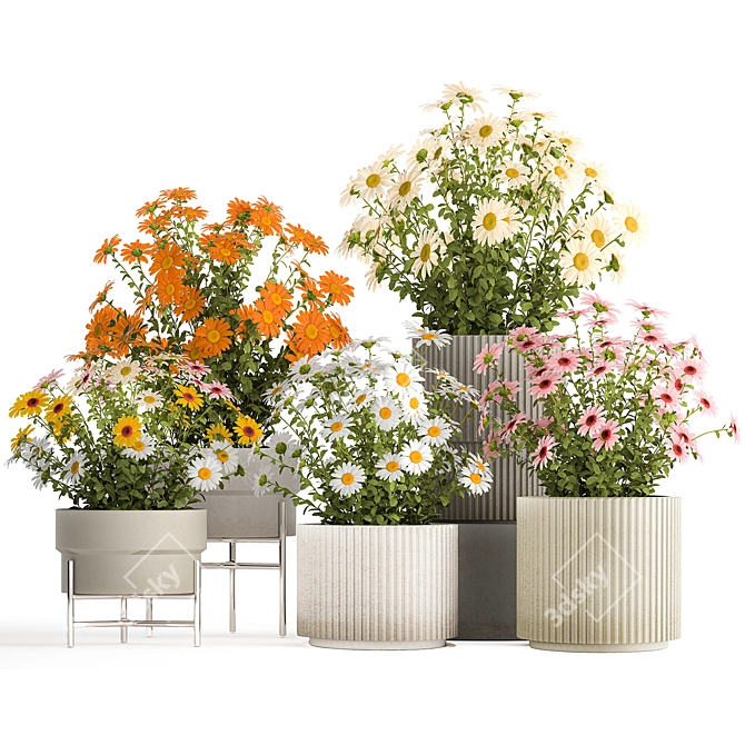 Title: Field Flowers Collection in Planters 3D model image 5