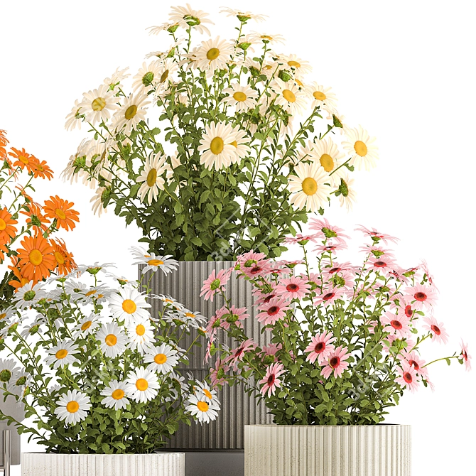 Title: Field Flowers Collection in Planters 3D model image 6