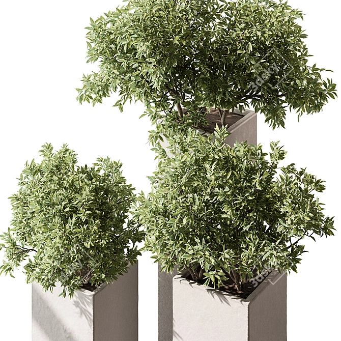 Botanical Garden Outdoor Planter 3D model image 3