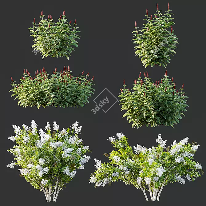 Floral 3D Models Bundle Kit 3D model image 1