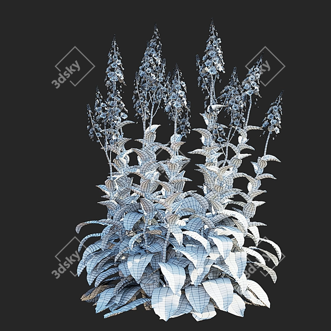 Elegant Verbascum Flower Collection 3D model image 5