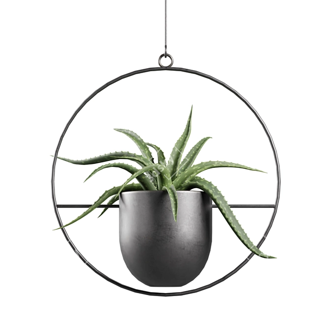 Exotic Indoor Plants 3D Models 3D model image 6