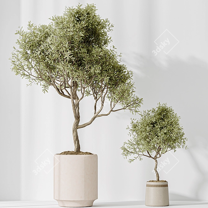 Modern Indoor Plant Set Bundle 3D model image 5