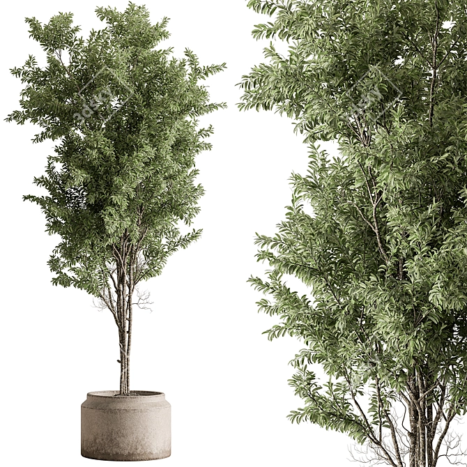 732 Indoor Tree Plant Pot 3D model image 2