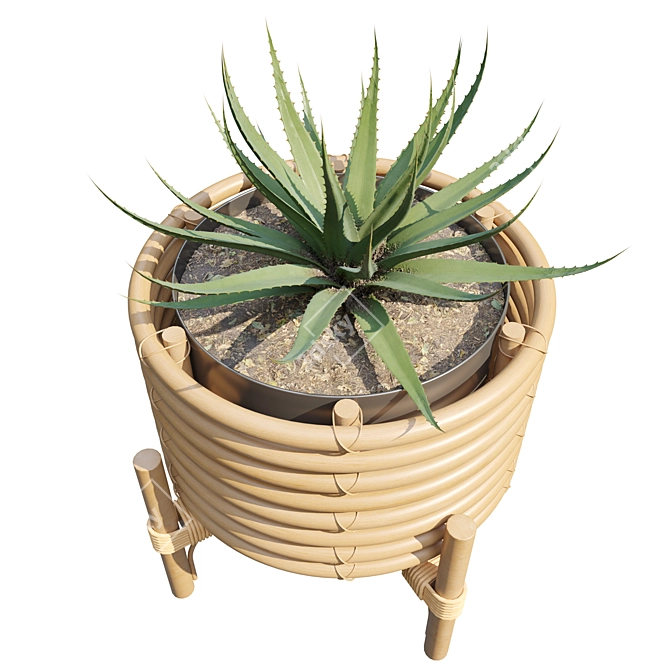 Rattan Planters Set with Vray 3D model image 3