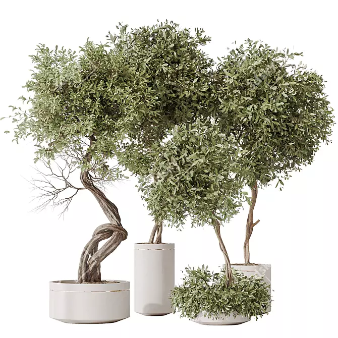 Artificial Indoor Plant Set Trio 3D model image 1