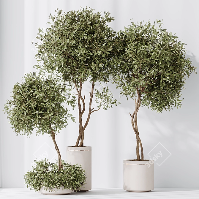 Artificial Indoor Plant Set Trio 3D model image 3