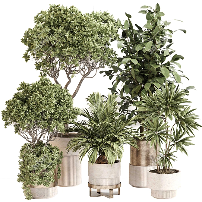 Premium Indoor Plant Collection 106 3D model image 1