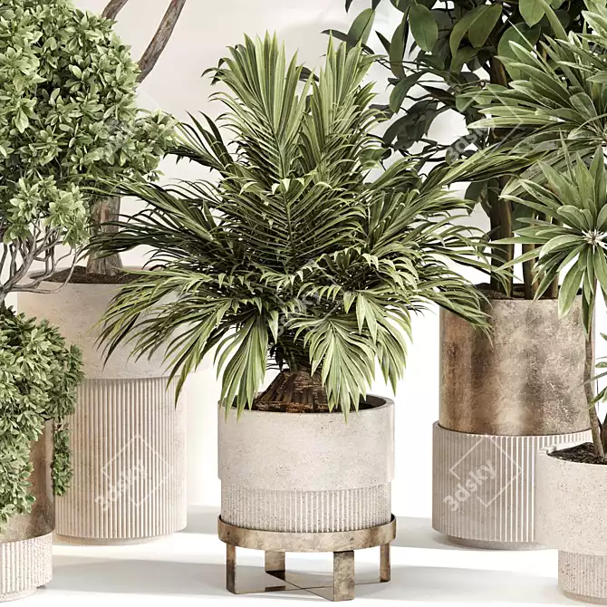 Premium Indoor Plant Collection 106 3D model image 2