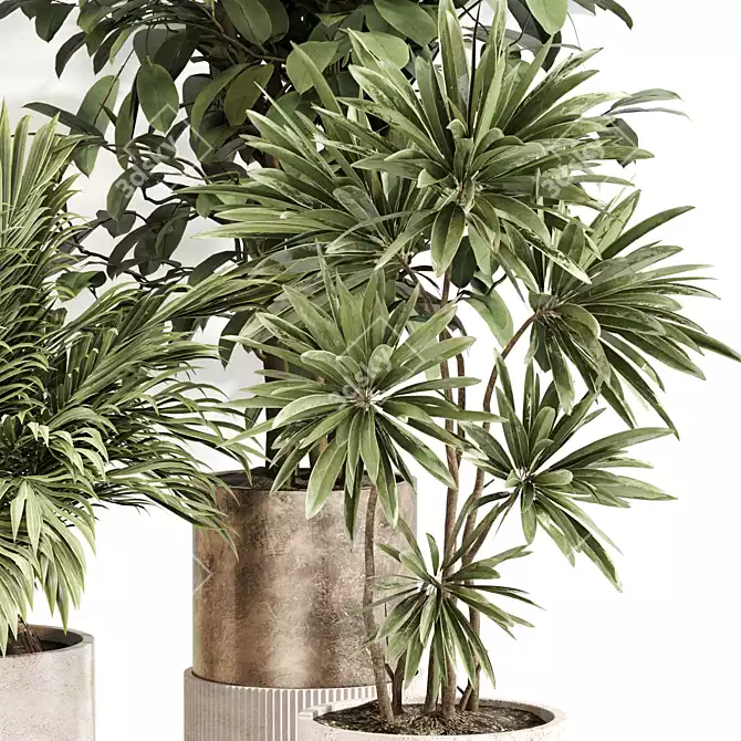 Premium Indoor Plant Collection 106 3D model image 3