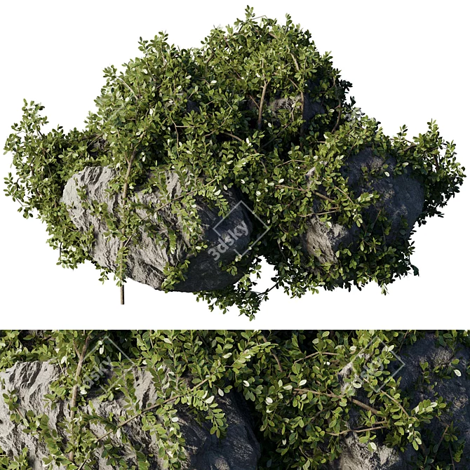 Ivy & Moss Stones Set 3D model image 1