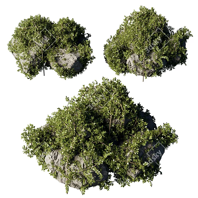 Ivy & Moss Stones Set 3D model image 2