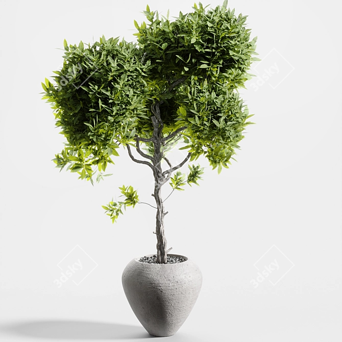 Title: Elegant Branches in Vases 3D model image 1