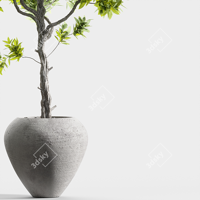 Title: Elegant Branches in Vases 3D model image 2