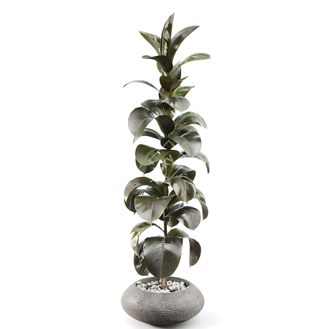 Serene Rubber Tree 047 3D model image 3