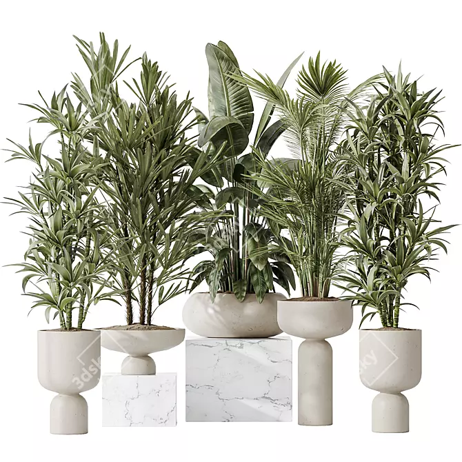 Indoor Plant Collection Set 81 3D model image 1