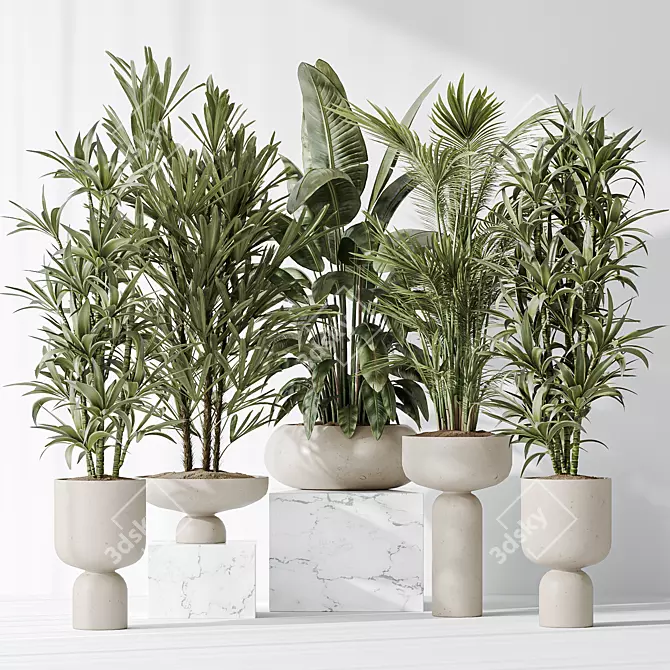 Indoor Plant Collection Set 81 3D model image 2