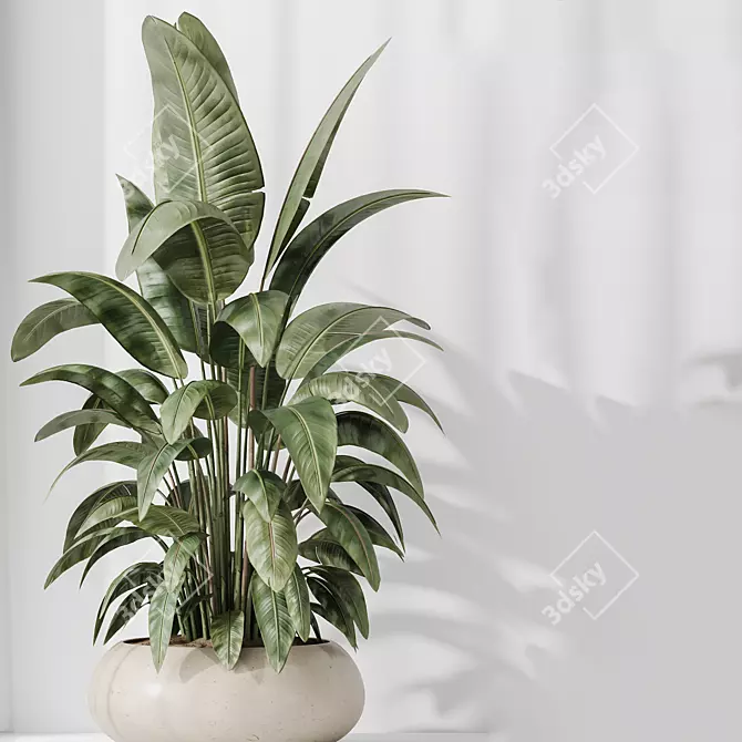 Indoor Plant Collection Set 81 3D model image 3