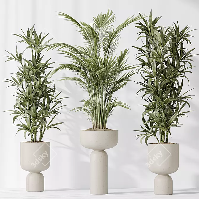 Indoor Plant Collection Set 81 3D model image 4