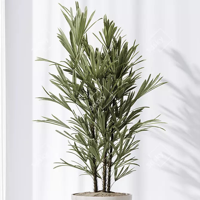 Indoor Plant Collection Set 81 3D model image 5