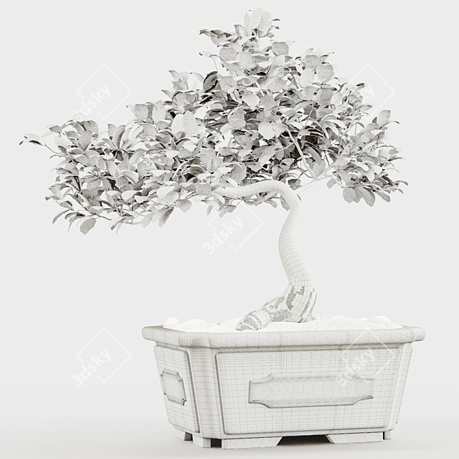 Bonsai Plant 3D Model Render 3D model image 5