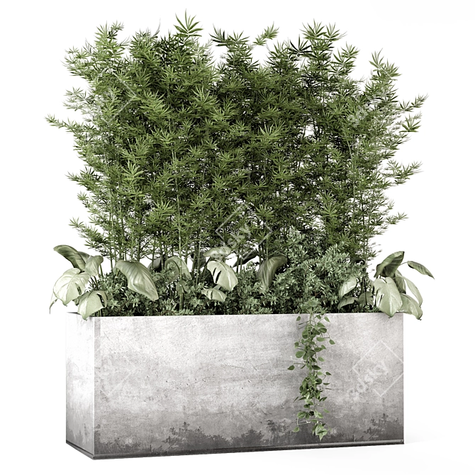 Bamboo Plants in Concrete Pot 3D model image 1