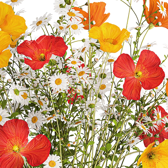 Summer Field Flowers Bouquet 3D model image 3