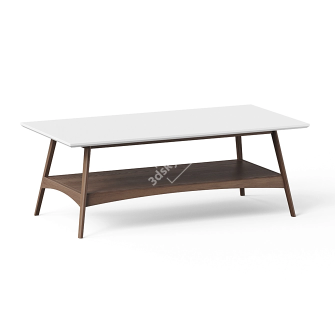 Parker Coffee Table Storage Solution 3D model image 2