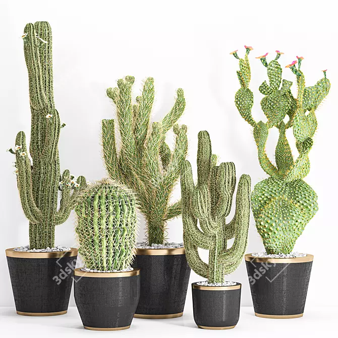  5 Unique 3D Cactus Vases 3D model image 1