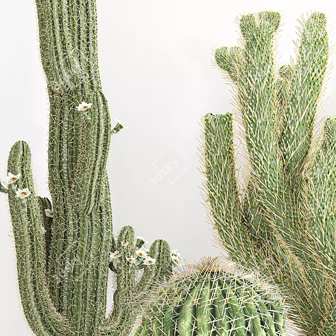  5 Unique 3D Cactus Vases 3D model image 3