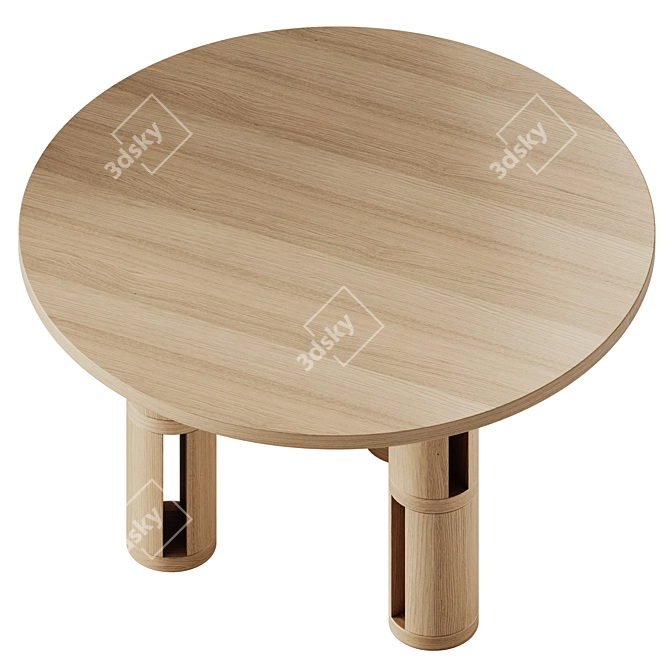 Woo Biblio Dining Table 120cm 3D model image 3