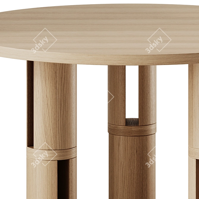 Woo Biblio Dining Table 120cm 3D model image 4