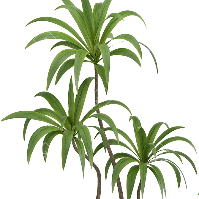 High-Resolution Plants Set 20 3D model image 2