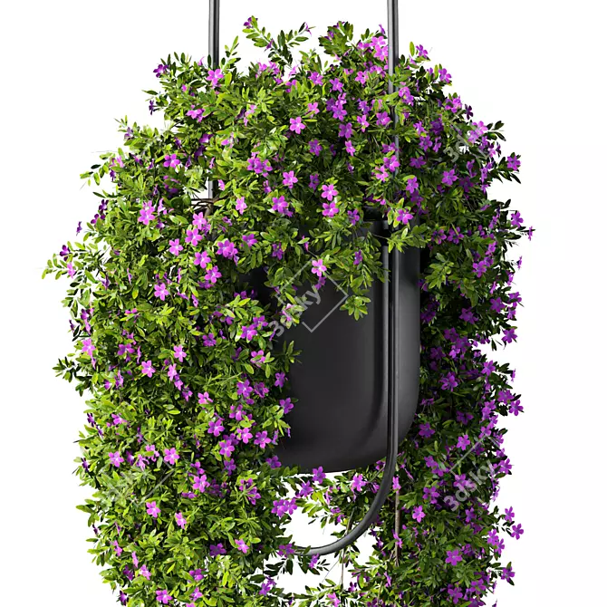  Contemporary Hanging Plant Set 3D model image 3