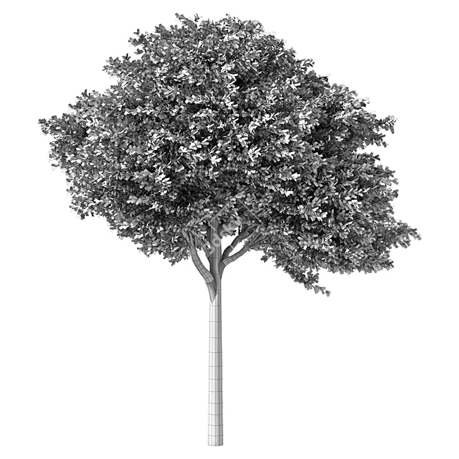 Dimensional Growth Release Tree 3D model image 3